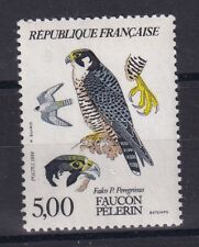 Année 1984 faune d'occasion  Marennes