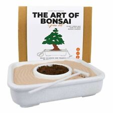 Gift republic bonsai for sale  BRISTOL