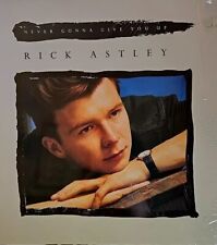 Vinil vintage 1987 Rick Astley - Never Gonna Give You Up - RCA/BMG LP 33RPM QUASE PERFEITO, usado comprar usado  Enviando para Brazil