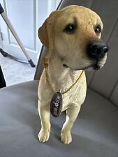 yellow labrador for sale  NEWPORT