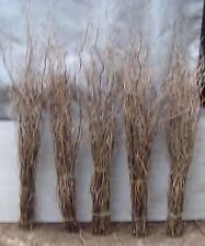 Twisted willow twigs for sale  LEICESTER