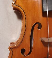 Violino liutera italiana usato  Reggio Emilia