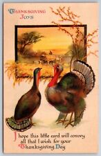 Clapsaddle thanksgiving turkey for sale  Newton
