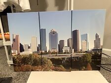 Houston downtown canvas for sale  Houston
