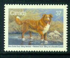 Canada dogs nova for sale  Buffalo