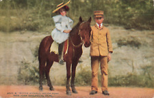 Postcard riding animals for sale  Liberty
