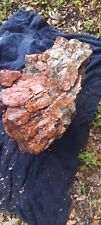 Arizona rainbow petrified for sale  Lilburn