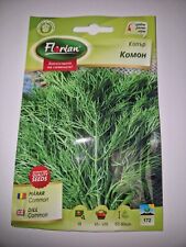 Dill commo curly for sale  NOTTINGHAM