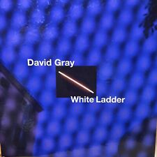 David Gray - Escada Branca: Deluxe 20º Aniversário Box Set 4x 12" Vinil LP MUITO BOM+ comprar usado  Enviando para Brazil