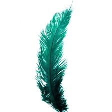 Ostrich feathers emerald for sale  Shipping to Ireland