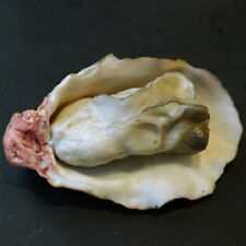 Pcs artificial oysters for sale  Shipping to Ireland