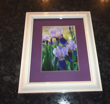 iris framed photo purple for sale  Selah