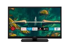 Hitachi h24e2200 fernseher gebraucht kaufen  Birkenfeld