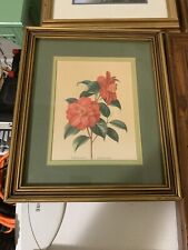Vintage rose picture for sale  Fayetteville
