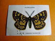 Chromo 1939 butterfly d'occasion  Expédié en Belgium