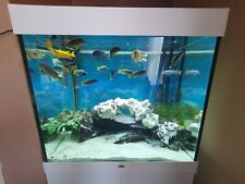 200 litre fish tank for sale  BRADFORD