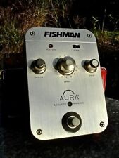 Fishman aura acoustic gebraucht kaufen  Eichenzell