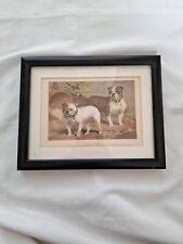 English bulldog picture for sale  COALVILLE