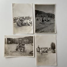 Vintage 1920s photographs for sale  LEYLAND