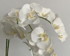 Piece white orchid for sale  Palm Springs