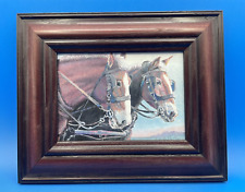 draft paint horse for sale  Lancaster