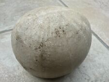 sea urchin shell for sale  GUILDFORD