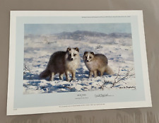 Arctic foxes david for sale  MARKET RASEN