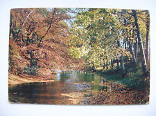 Wensleydale postcard yorkshire for sale  FALKIRK