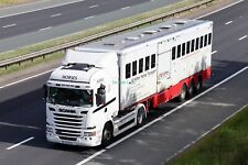 Foto de caminhão T60 142-CN-53 Scania McMahon transporte de cavalos, usado comprar usado  Enviando para Brazil