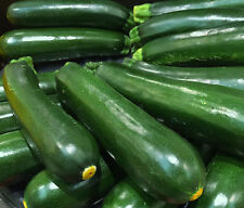 Grüne zucchini black gebraucht kaufen  Stralsund-Umland I