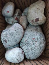 Lbs pudding stone for sale  Mount Morris