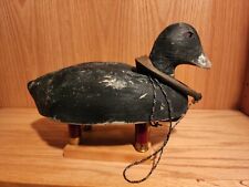coot for sale  Braham