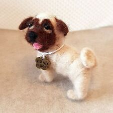 Carlino cane miniatura usato  San Giorgio Di Piano