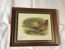 Vintage pheasant picture for sale  WALTHAM CROSS