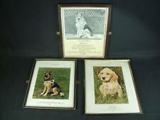 Guide dog frames for sale  BURNHAM-ON-CROUCH
