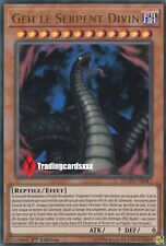 ♦Yu-Gi-Oh!♦ Geh le Serpent Divin (Divine) : DUPO-FR047 -VF/Ultra Rare- na sprzedaż  Wysyłka do Poland