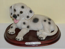 Large dalmatian puppy for sale  TOTNES