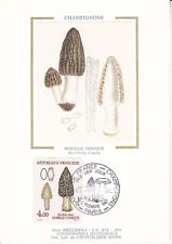 Carte fdc 1er d'occasion  Aimargues
