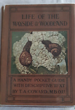 Wayside woodland life for sale  OTLEY