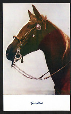 Cartão postal antigo "Freckles" The Horse Bit Cheek Piece rédeas nariz banda cavalos tack, usado comprar usado  Enviando para Brazil