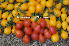 Rcherry tomatensamen rote gebraucht kaufen  Rostock