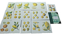 Citrons collection affiches d'occasion  Nice-