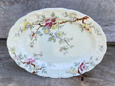 Booths oval platter for sale  CRAWLEY