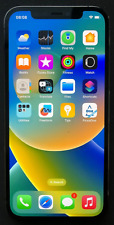 Usato, Apple iPhone 12 PRO 128Gb Graphite  * Faulty Device * Problemi Audio, Resto OK usato  Terracina