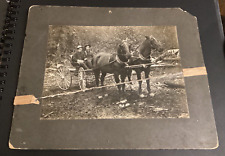 Antique horse team for sale  Vancouver