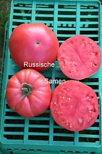 Tomatensamen lara giant gebraucht kaufen  Rostock