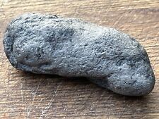 Coprolite fossil for sale  Shipping to Ireland