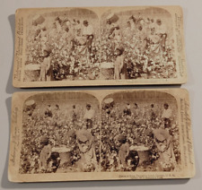 Georgia stereoview african for sale  Marlborough