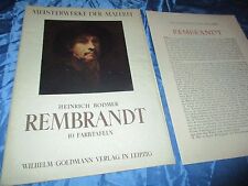 Rembrandt farbtafeln kupfertie gebraucht kaufen  Isernhagen