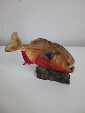 Piranha rouge naturalisé d'occasion  Crécy-la-Chapelle